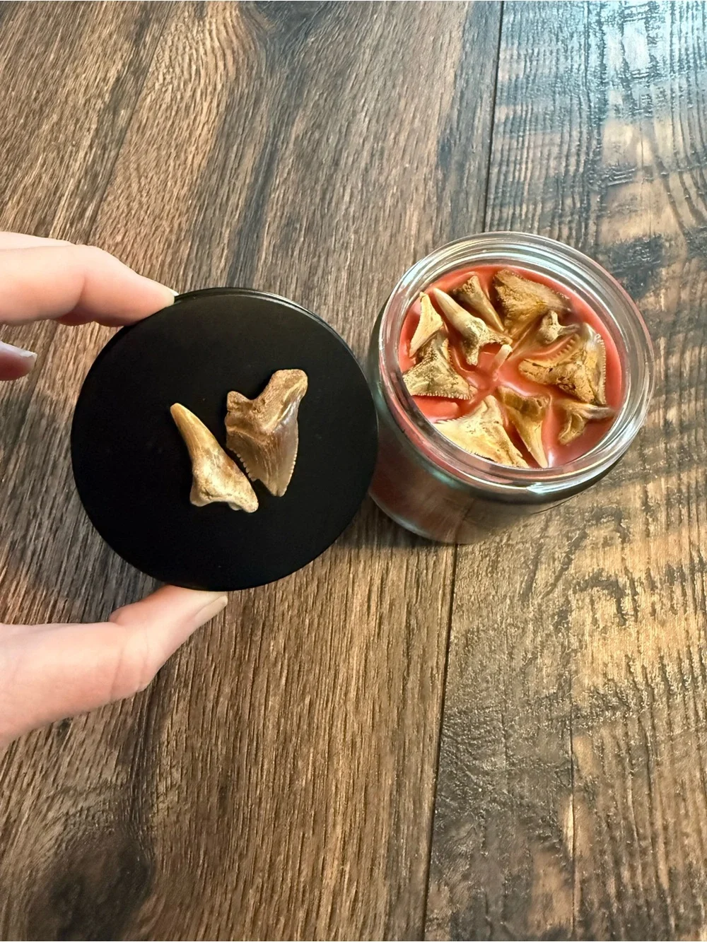 Shark tooth candle, shark teeth candle, shark candle, apple candle, shark week